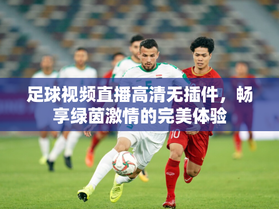 足球视频直播高清无插件，畅享绿茵激情的完美体验