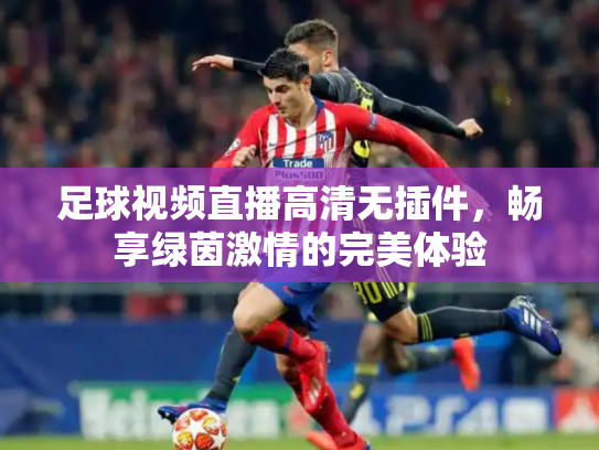 足球视频直播高清无插件，畅享绿茵激情的完美体验