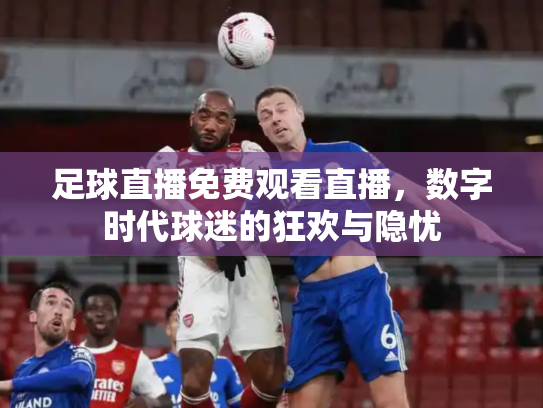 足球直播免费观看直播，数字时代球迷的狂欢与隐忧