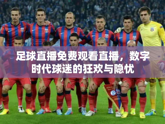 足球直播免费观看直播，数字时代球迷的狂欢与隐忧
