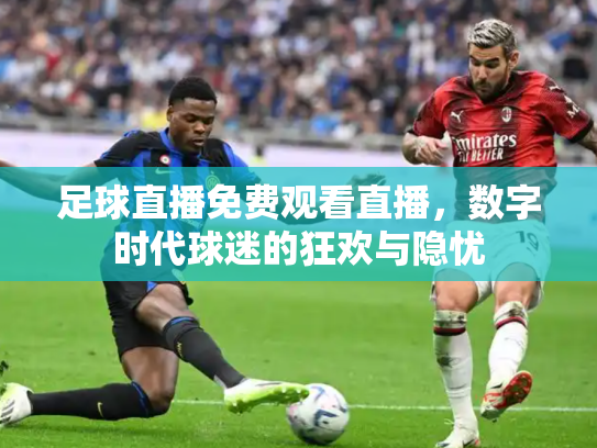 足球直播免费观看直播，数字时代球迷的狂欢与隐忧