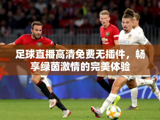 足球直播高清免费无插件，畅享绿茵激情的完美体验
