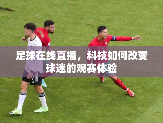 足球在线直播，科技如何改变球迷的观赛体验