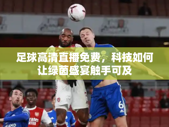 足球高清直播免费，科技如何让绿茵盛宴触手可及