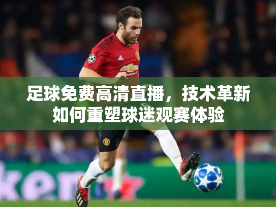 足球免费高清直播，技术革新如何重塑球迷观赛体验