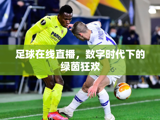 足球在线直播，数字时代下的绿茵狂欢