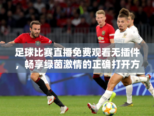 足球比赛直播免费观看无插件，畅享绿茵激情的正确打开方式