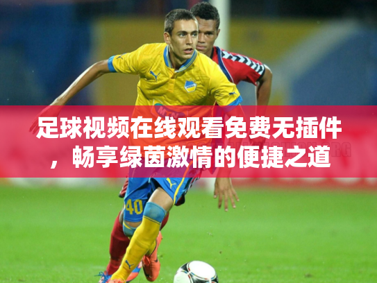 足球视频在线观看免费无插件，畅享绿茵激情的便捷之道