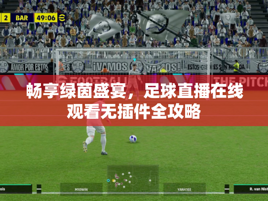 畅享绿茵盛宴，足球直播在线观看无插件全攻略