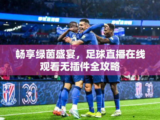 畅享绿茵盛宴，足球直播在线观看无插件全攻略
