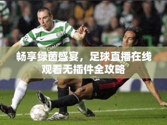 畅享绿茵盛宴，足球直播在线观看无插件全攻略