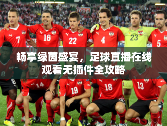 畅享绿茵盛宴，足球直播在线观看无插件全攻略