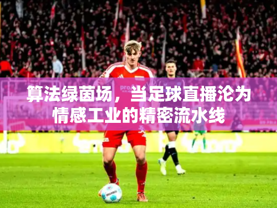 算法绿茵场，当足球直播沦为情感工业的精密流水线