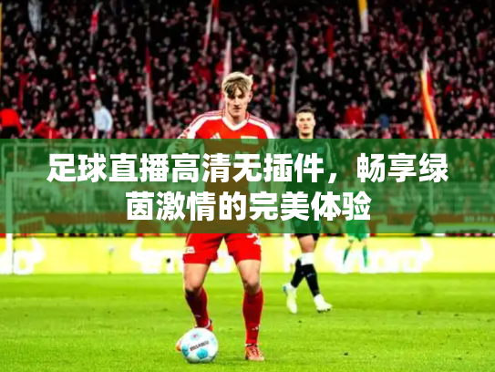 足球直播高清无插件，畅享绿茵激情的完美体验