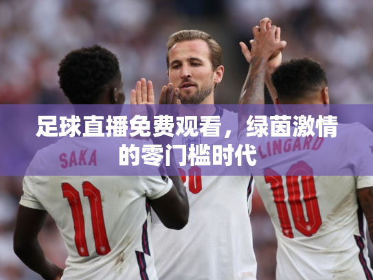 足球直播免费观看，绿茵激情的零门槛时代