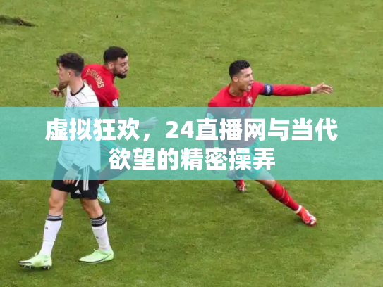 虚拟狂欢，24直播网与当代欲望的精密操弄