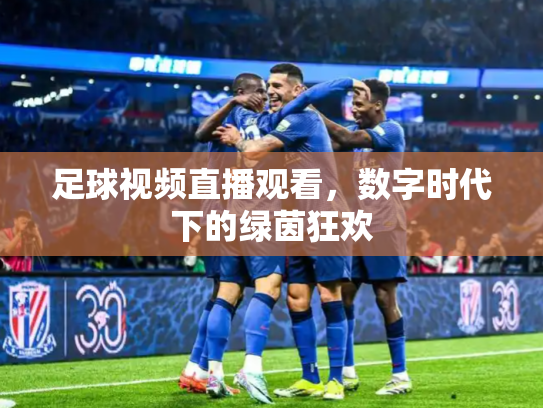 足球视频直播观看，数字时代下的绿茵狂欢