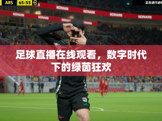 足球直播在线观看，数字时代下的绿茵狂欢