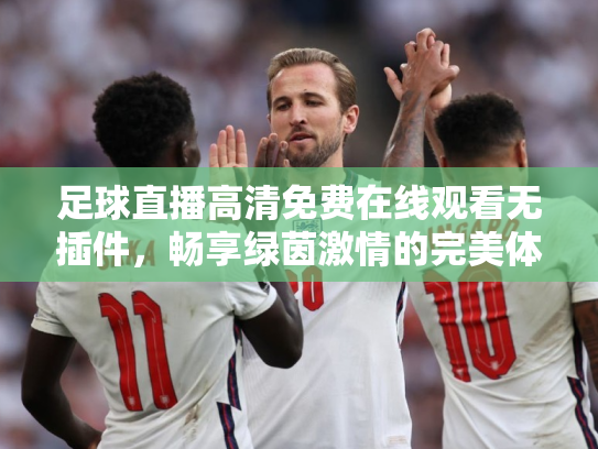 足球直播高清免费在线观看无插件，畅享绿茵激情的完美体验
