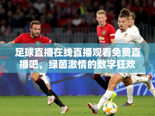足球直播在线直播观看免费直播吧，绿茵激情的数字狂欢