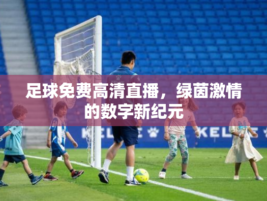 足球免费高清直播，绿茵激情的数字新纪元