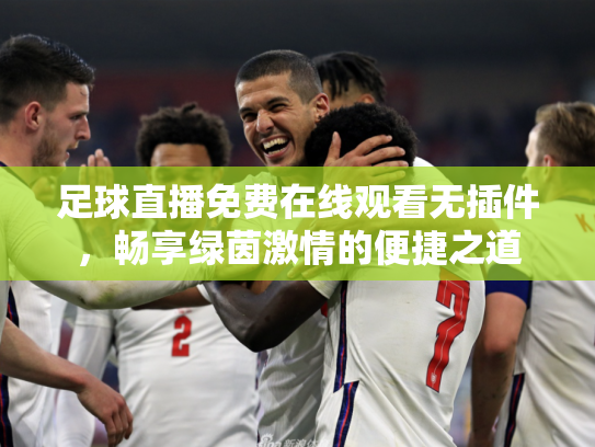 足球直播免费在线观看无插件，畅享绿茵激情的便捷之道