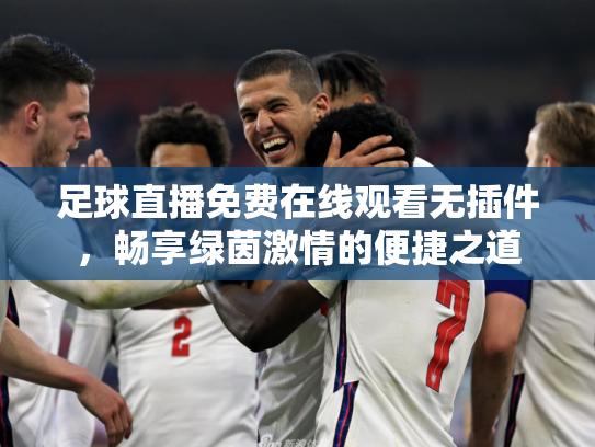 足球直播免费在线观看无插件，畅享绿茵激情的便捷之道