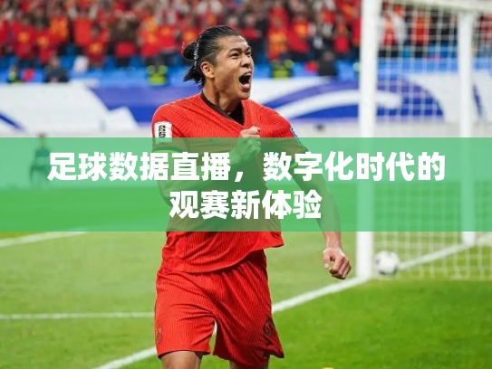 足球数据直播，数字化时代的观赛新体验