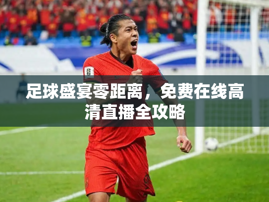 足球盛宴零距离，免费在线高清直播全攻略