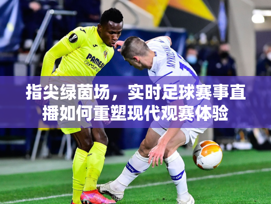 指尖绿茵场，实时足球赛事直播如何重塑现代观赛体验