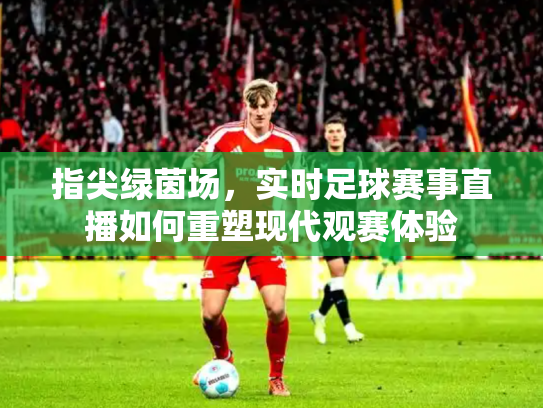 指尖绿茵场，实时足球赛事直播如何重塑现代观赛体验