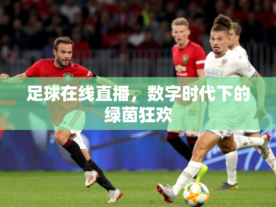 足球在线直播，数字时代下的绿茵狂欢