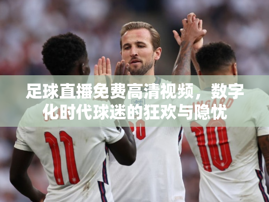 足球直播免费高清视频，数字化时代球迷的狂欢与隐忧