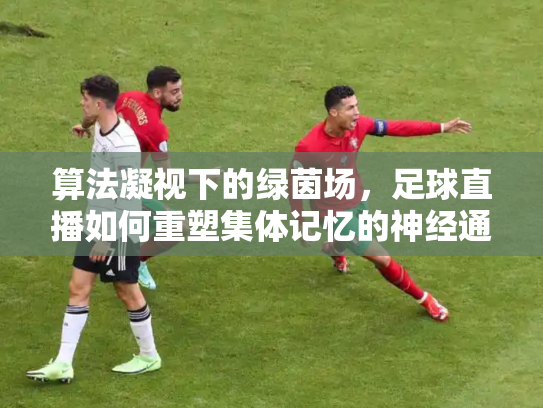 算法凝视下的绿茵场，足球直播如何重塑集体记忆的神经通路