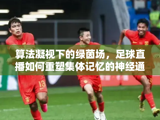 算法凝视下的绿茵场，足球直播如何重塑集体记忆的神经通路