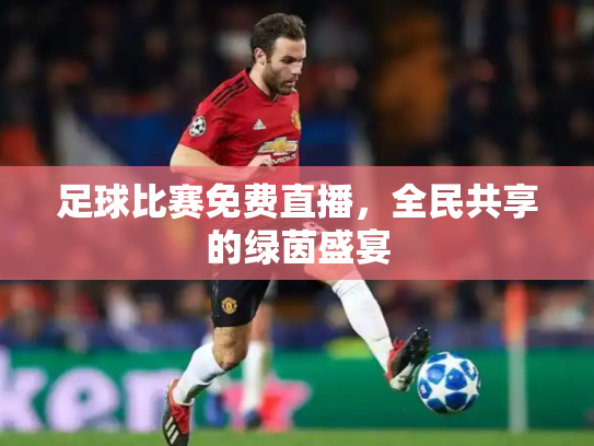 足球比赛免费直播，全民共享的绿茵盛宴