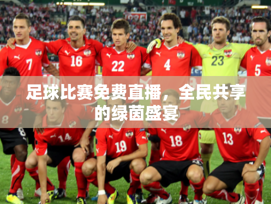 足球比赛免费直播，全民共享的绿茵盛宴