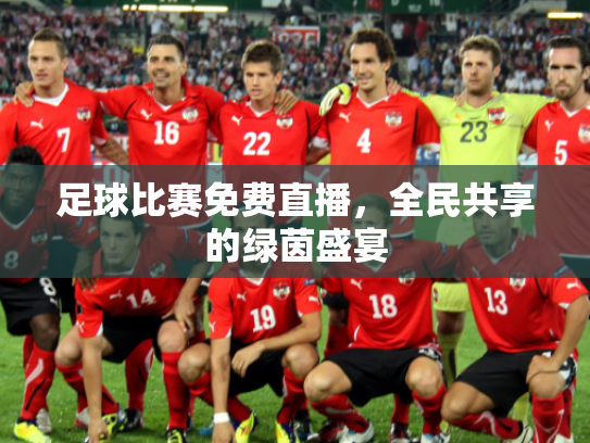 足球比赛免费直播，全民共享的绿茵盛宴