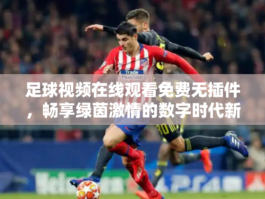足球视频在线观看免费无插件，畅享绿茵激情的数字时代新方式