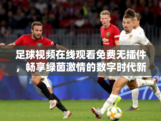 足球视频在线观看免费无插件，畅享绿茵激情的数字时代新方式