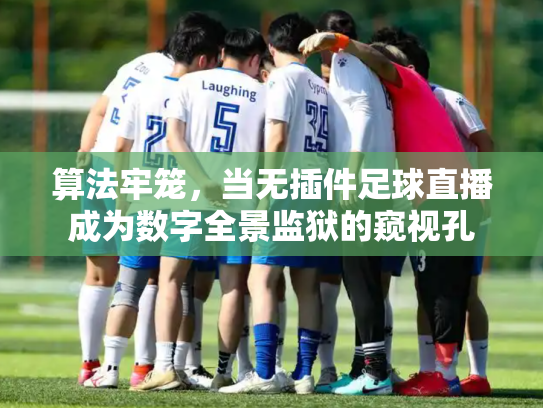 算法牢笼，当无插件足球直播成为数字全景监狱的窥视孔