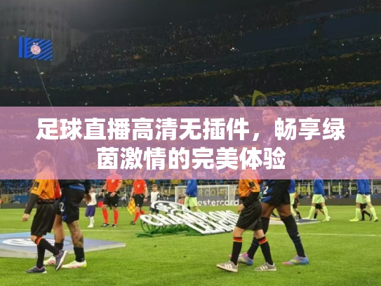 足球直播高清无插件，畅享绿茵激情的完美体验