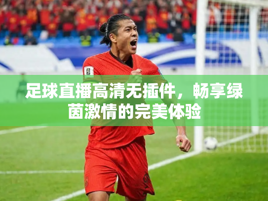足球直播高清无插件，畅享绿茵激情的完美体验