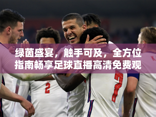 绿茵盛宴，触手可及，全方位指南畅享足球直播高清免费观看