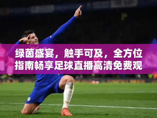 绿茵盛宴，触手可及，全方位指南畅享足球直播高清免费观看