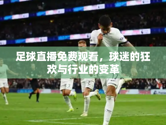 足球直播免费观看，球迷的狂欢与行业的变革