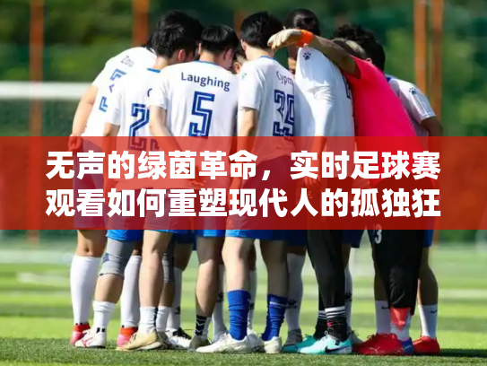 无声的绿茵革命，实时足球赛观看如何重塑现代人的孤独狂欢