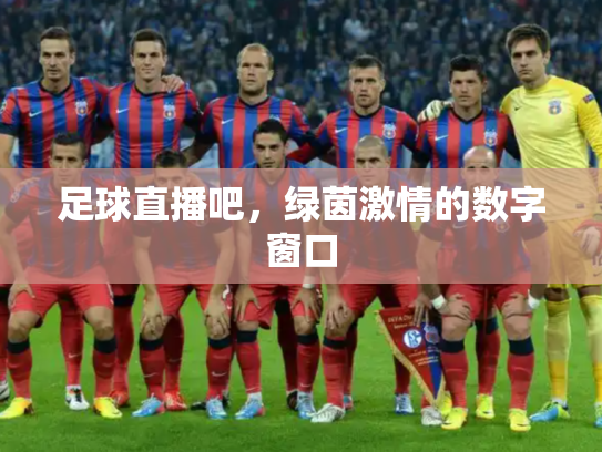 足球直播吧，绿茵激情的数字窗口