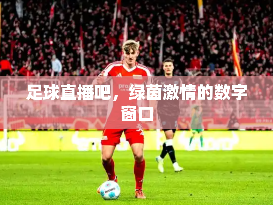 足球直播吧，绿茵激情的数字窗口