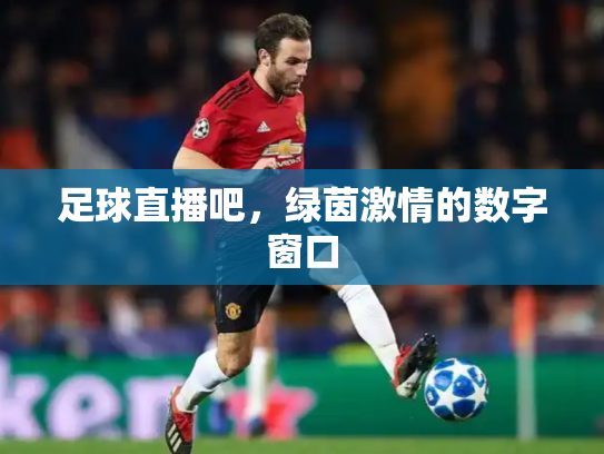 足球直播吧，绿茵激情的数字窗口